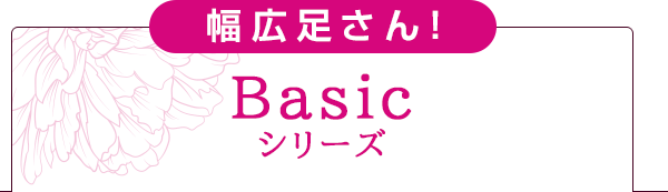 Basicシリーズ